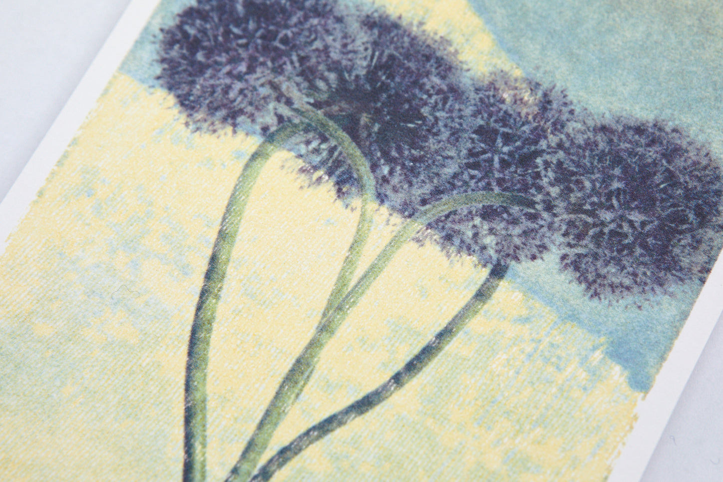 Postkarte allium
