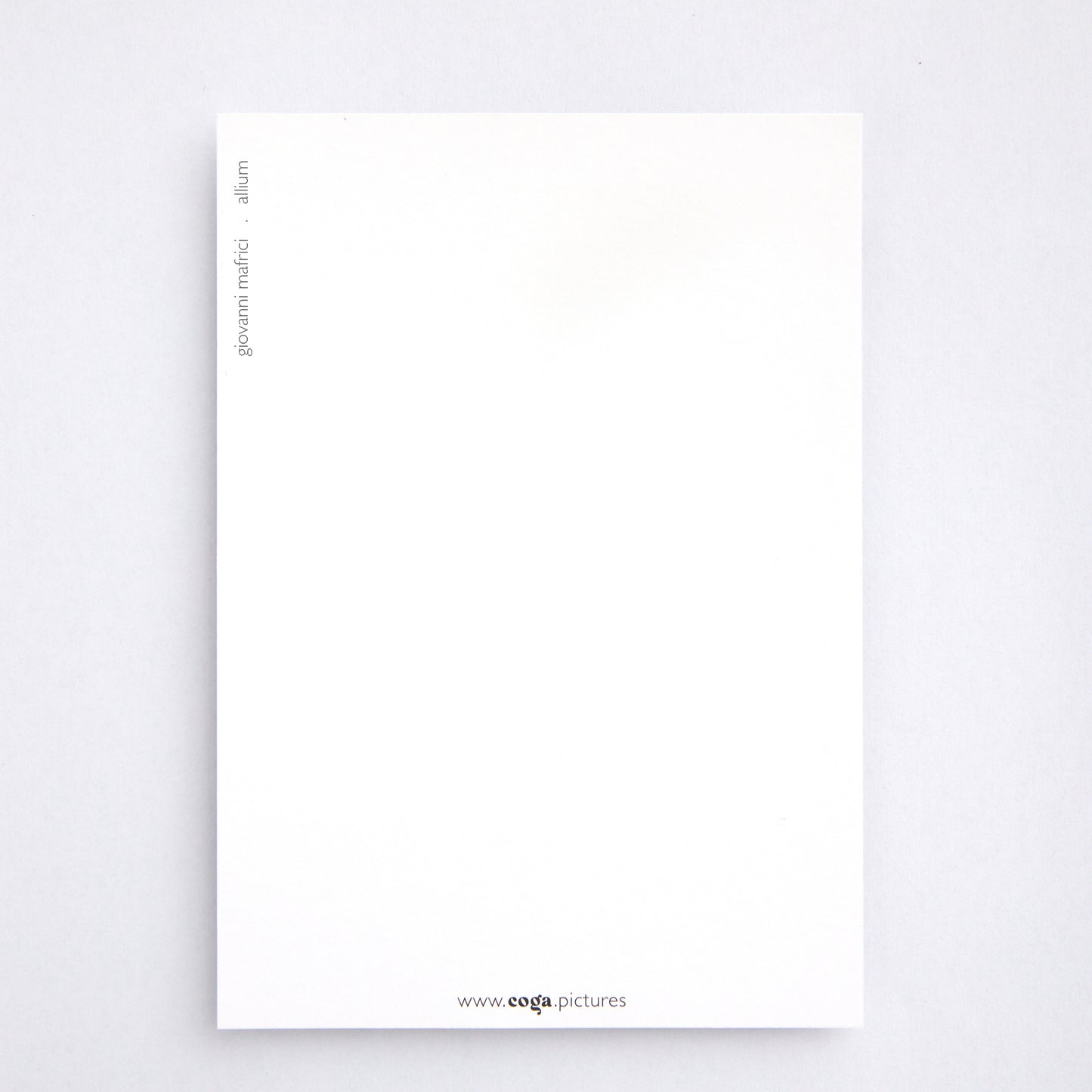 Postkarte allium