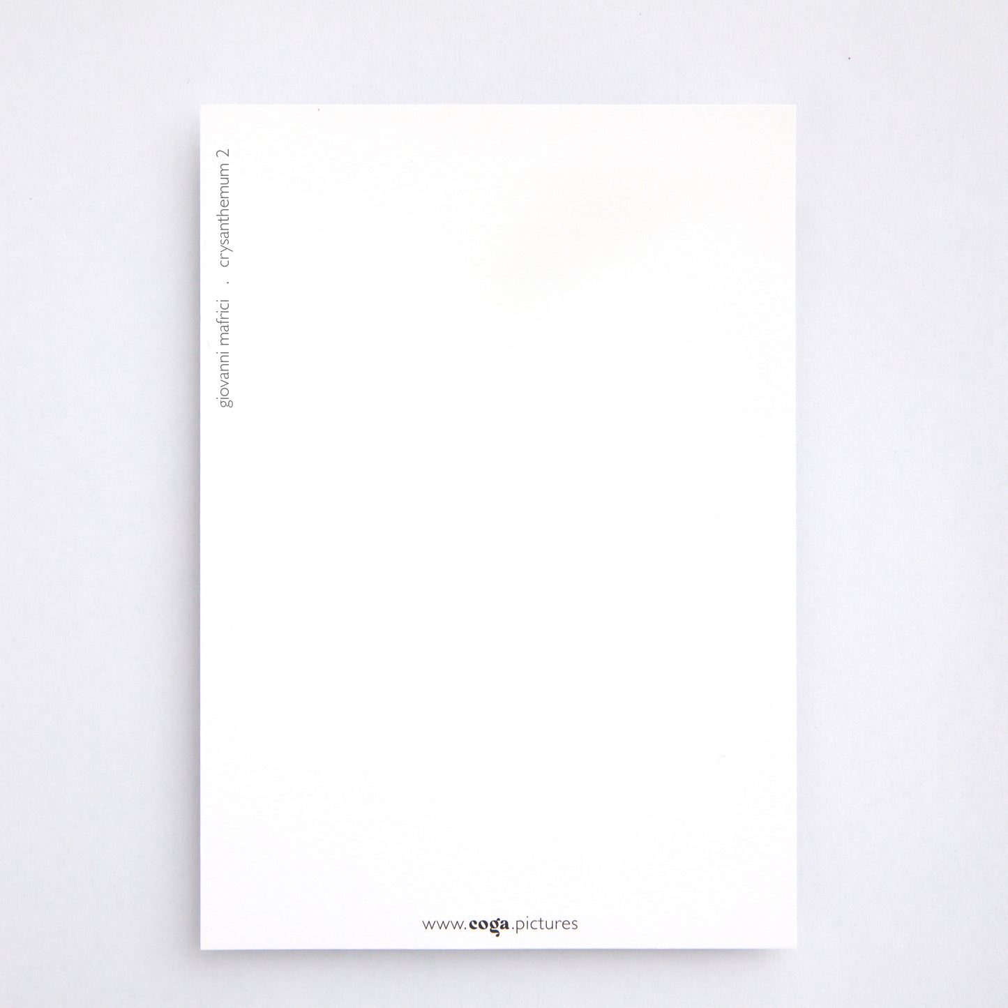 Postkarte Chrysanthemum 02