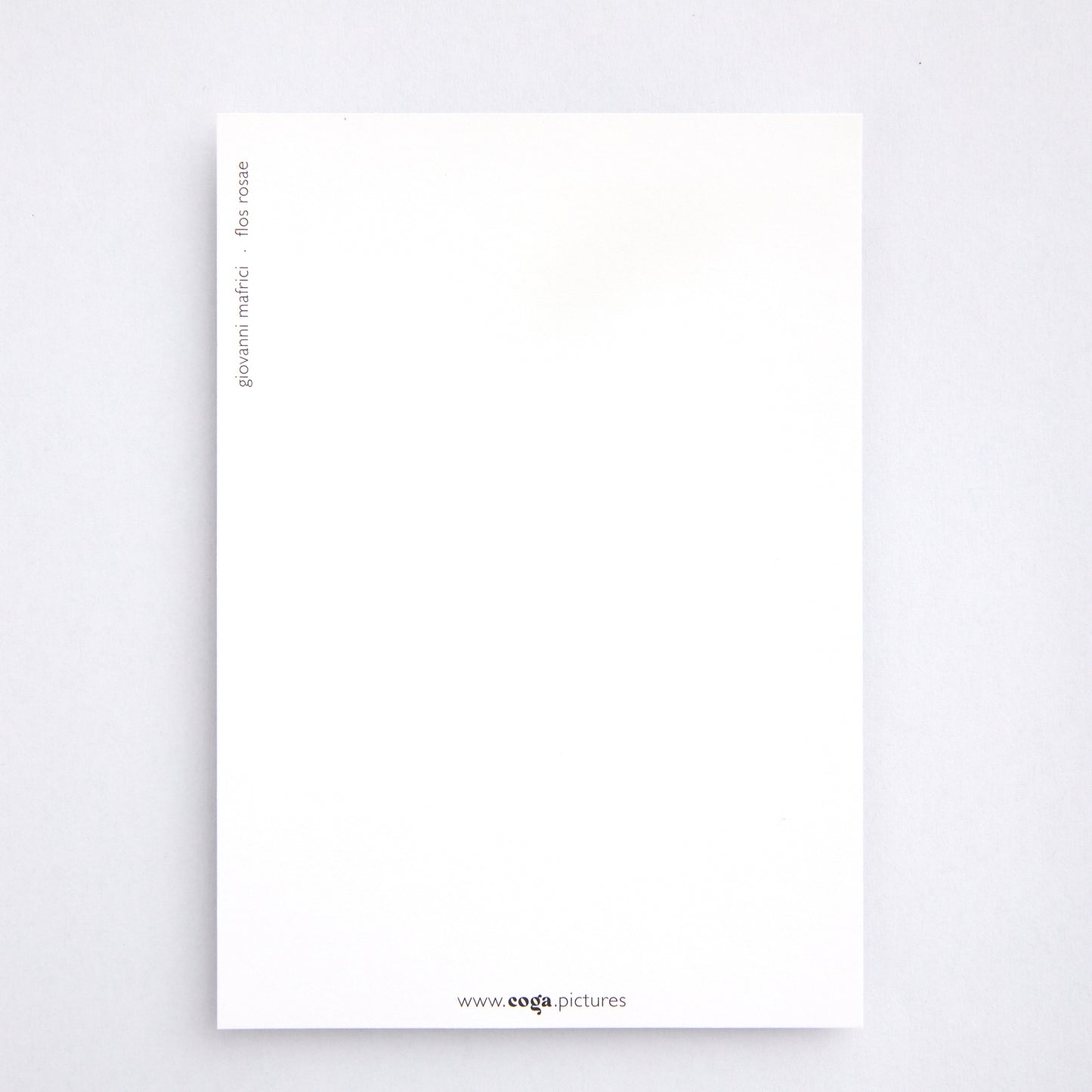 Postkarte Flos rosae