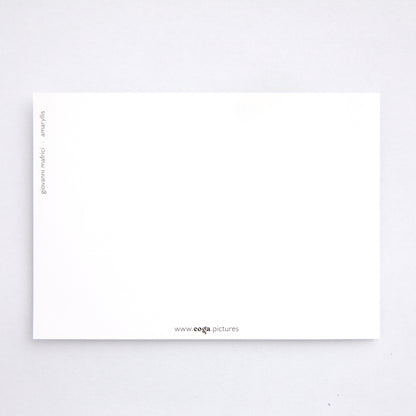 Postkarte amaryllis