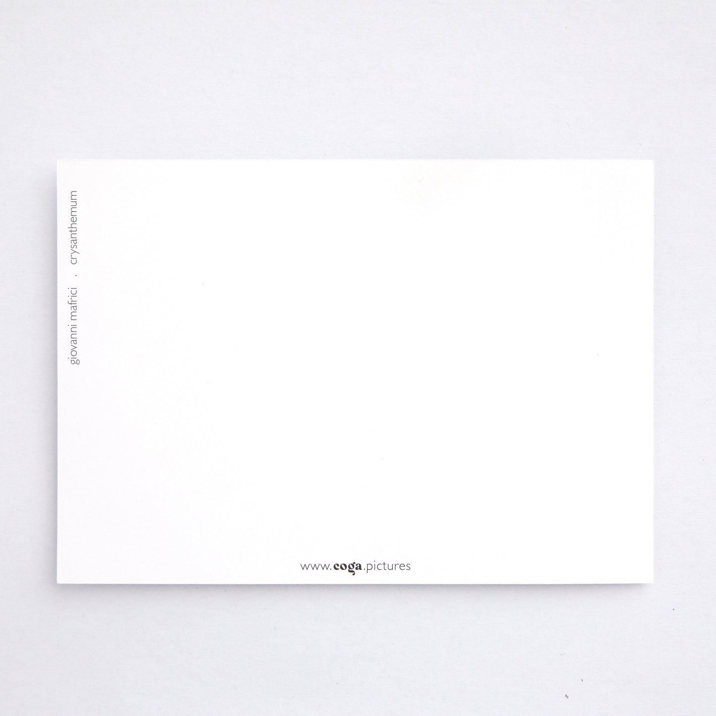 Postkarte chrysanthemum