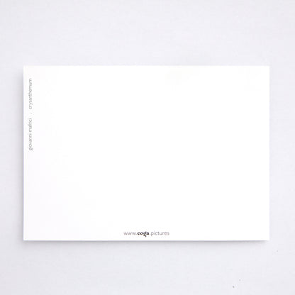 Postkarte chrysanthemum